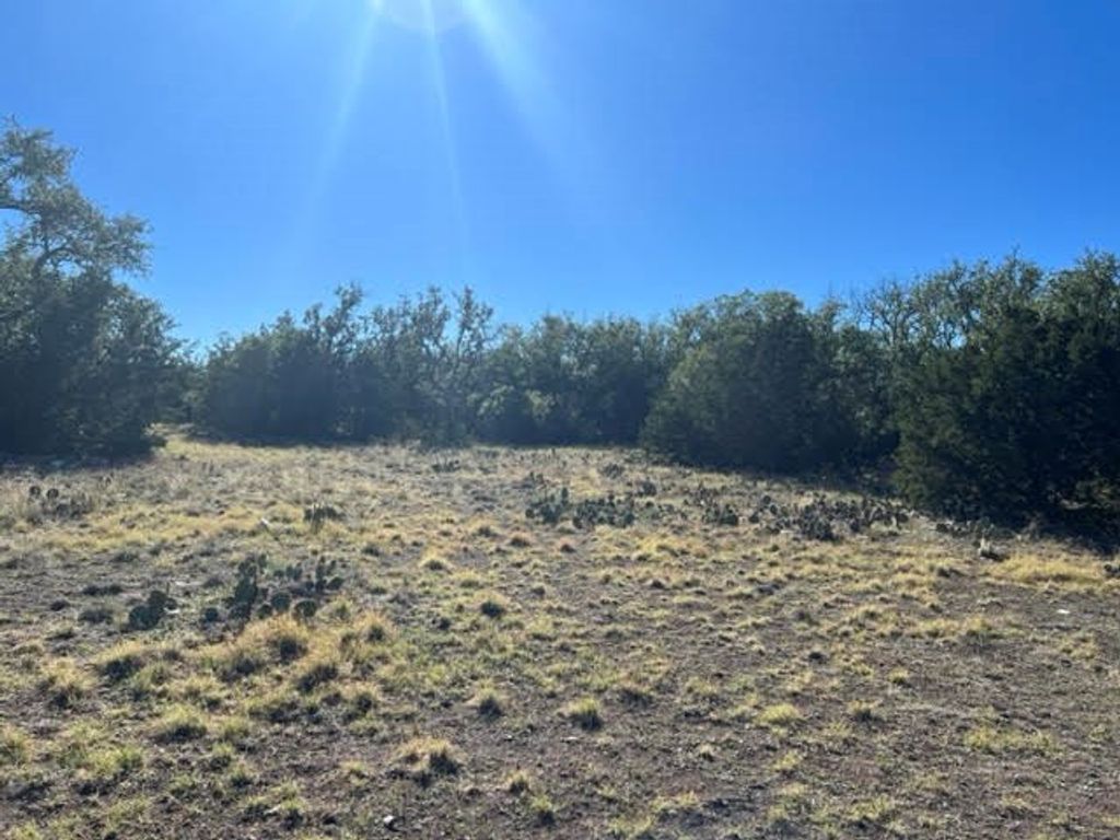 Image 3 of property listing at 400 NE Live Oak Drive, Menard, TX 76859