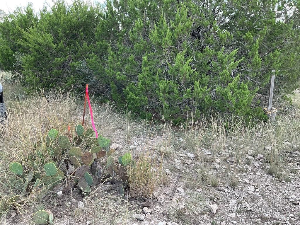 Image 34 of property listing at 400 NE Live Oak Drive, Menard, TX 76859