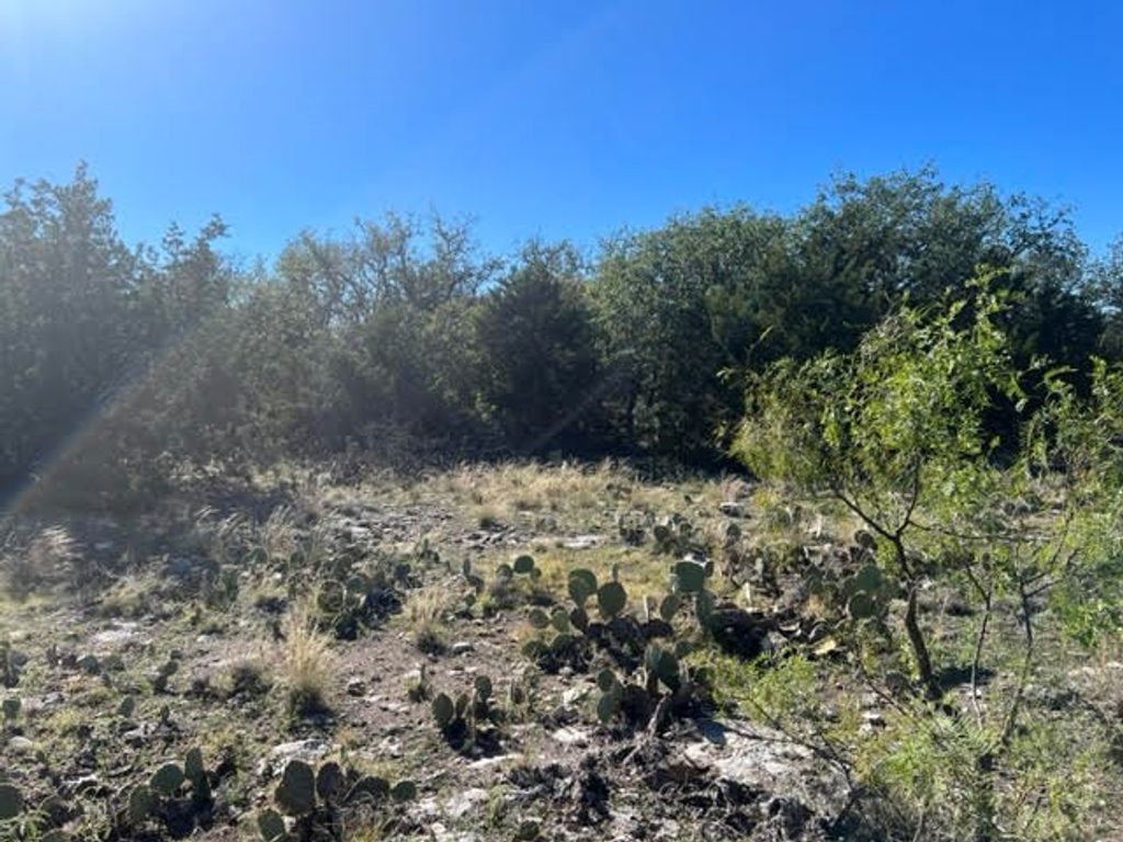 Image 6 of property listing at 400 NE Live Oak Drive, Menard, TX 76859