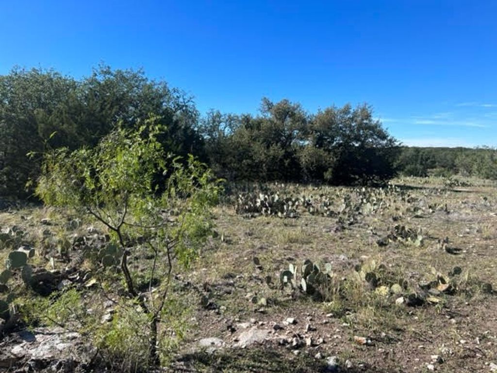 Image 7 of property listing at 400 NE Live Oak Drive, Menard, TX 76859