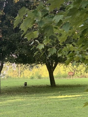 7061 E Plunders Creek Rd, Dickson, TN 37055