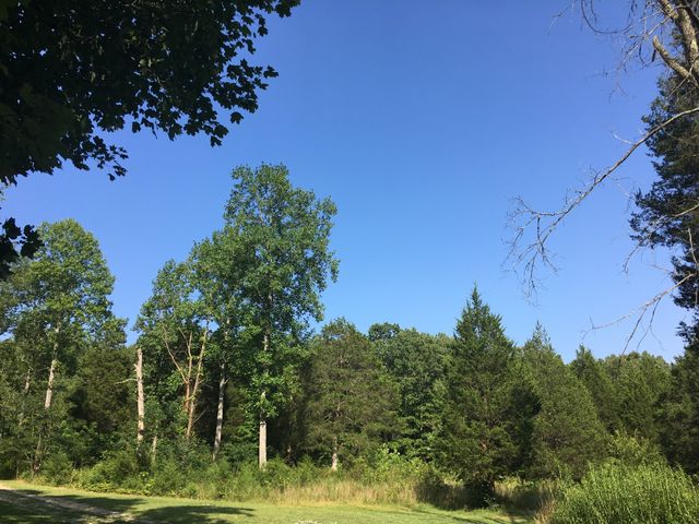 7061 E Plunders Creek Rd, Dickson, TN 37055