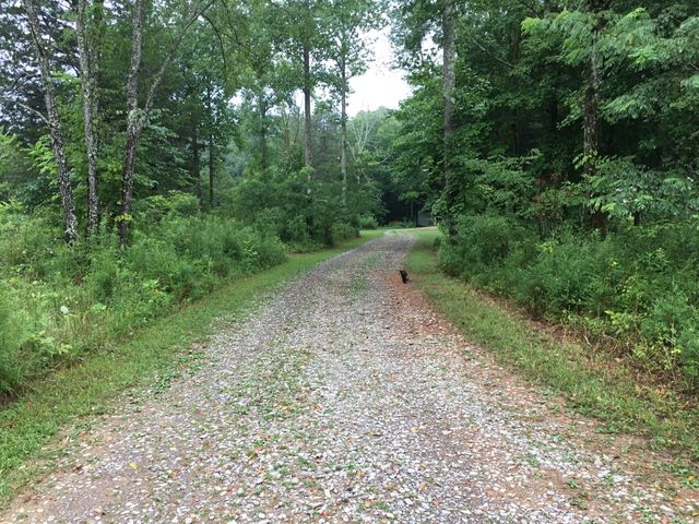 7061 E Plunders Creek Rd, Dickson, TN 37055