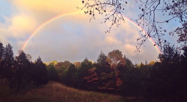 7061 E Plunders Creek Rd, Dickson, TN 37055