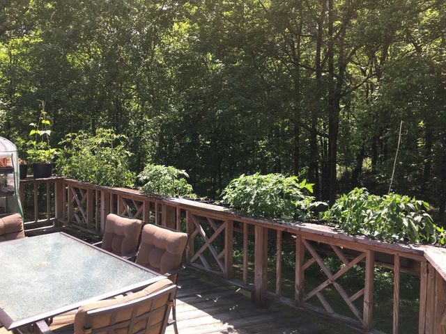 7061 E Plunders Creek Rd, Dickson, TN 37055