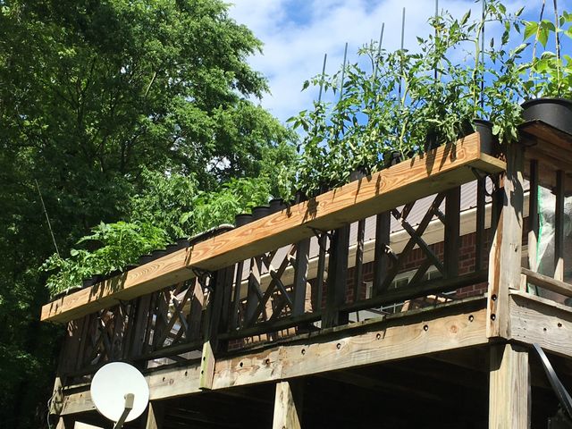 7061 E Plunders Creek Rd, Dickson, TN 37055