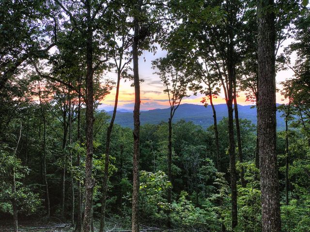 Lot 2 Aubery Ridge, Morganton, GA 30560