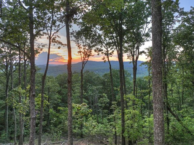 Lot 2 Aubery Ridge, Morganton, GA 30560