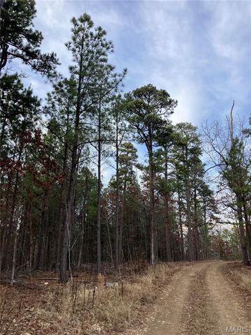 206 Madison CR 410, Fredericktown, MO 63645