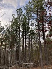 206 Madison CR 410, Fredericktown, MO 63645