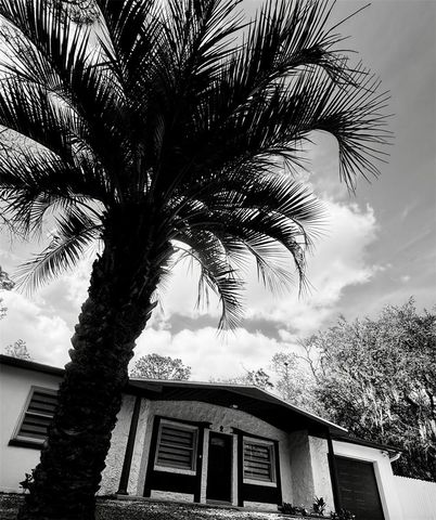 11264 N SCHULT TERRACE, Citrus Springs, FL 34434