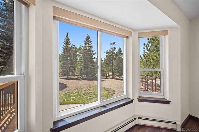 17805 Fairplay Way, Monument, CO 80132