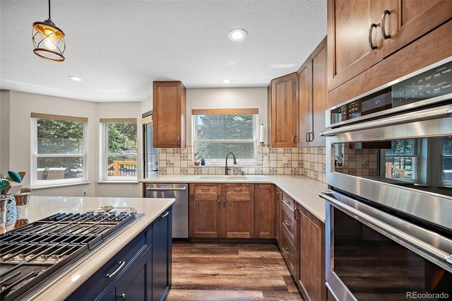 17805 Fairplay Way, Monument, CO 80132