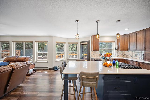 17805 Fairplay Way, Monument, CO 80132