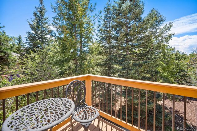 17805 Fairplay Way, Monument, CO 80132