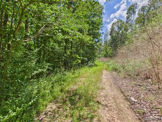 Lot 142 Crestwood Drive, Wappapello, MO 63966