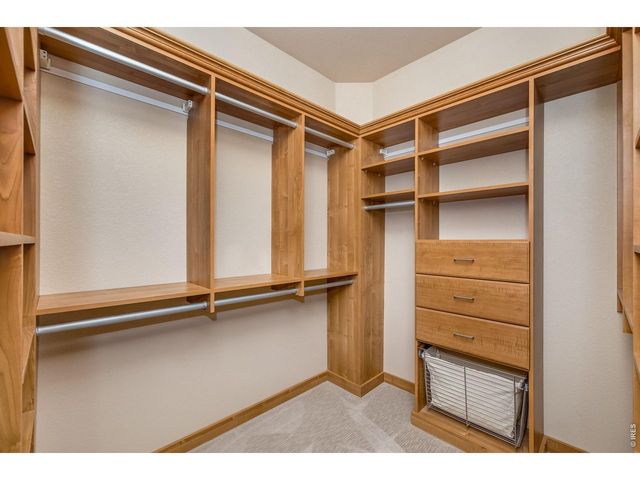 7042 Ruidoso Dr, Windsor, CO 80550