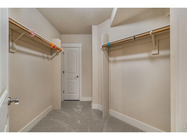 7042 Ruidoso Dr, Windsor, CO 80550
