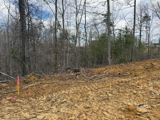 Lot 7 Phase 2 Stearns Hollow Road, Monticello, KY 42633