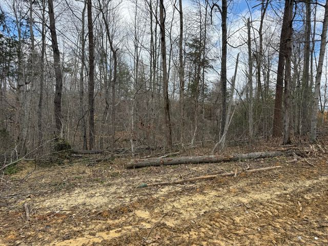Lot 7 Phase 2 Stearns Hollow Road, Monticello, KY 42633