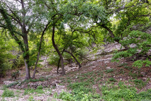 2985 Highway 39, Hunt, TX 78024