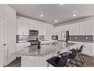 4183 Chasm Lake Dr, Loveland, CO 80538