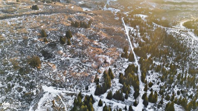 Lt 80 & 84 Bolotna Road, Nikolaevsk, AK 99556