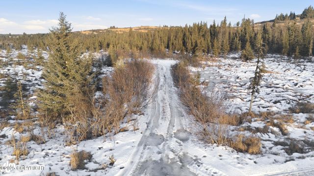 Lt 80 & 84 Bolotna Road, Nikolaevsk, AK 99556