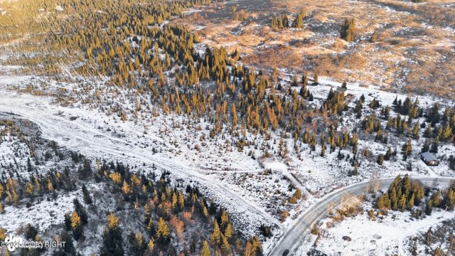 Lt 80 & 84 Bolotna Road, Nikolaevsk, AK 99556