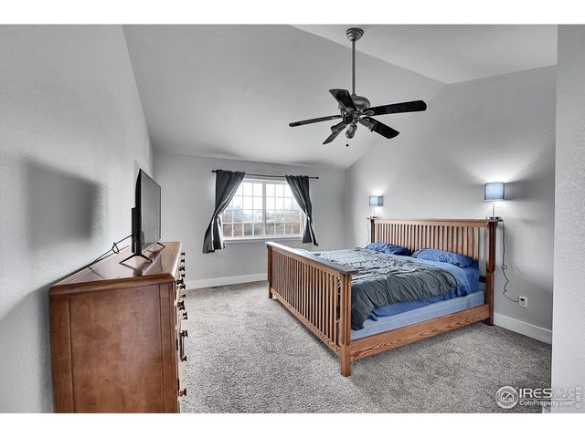 311 Granite Ct, Windsor, CO 80550
