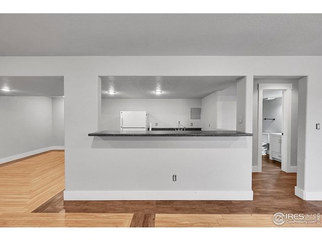 311 Granite Ct, Windsor, CO 80550