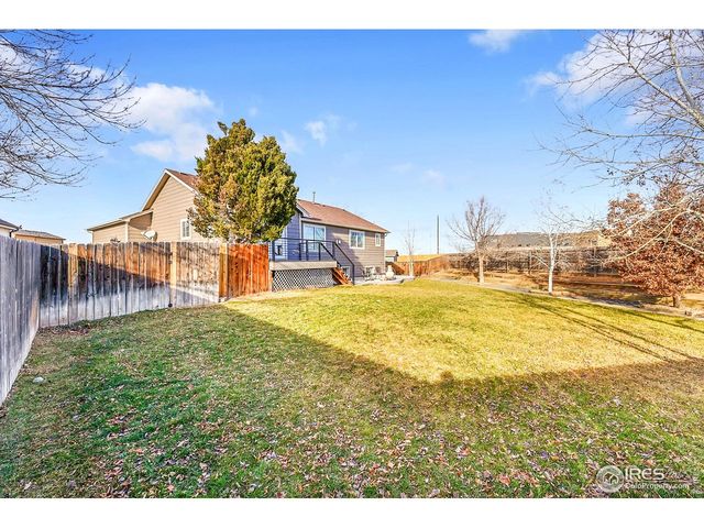 311 Granite Ct, Windsor, CO 80550