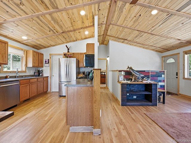 234 Impala Trl, Bailey, CO 80421