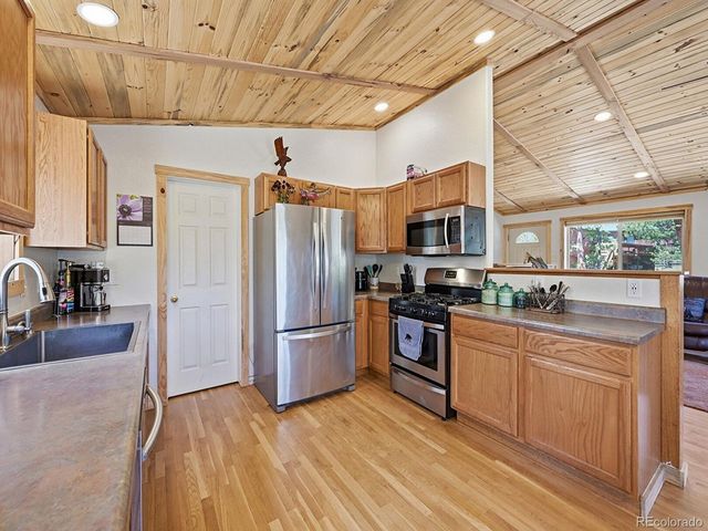 234 Impala Trl, Bailey, CO 80421
