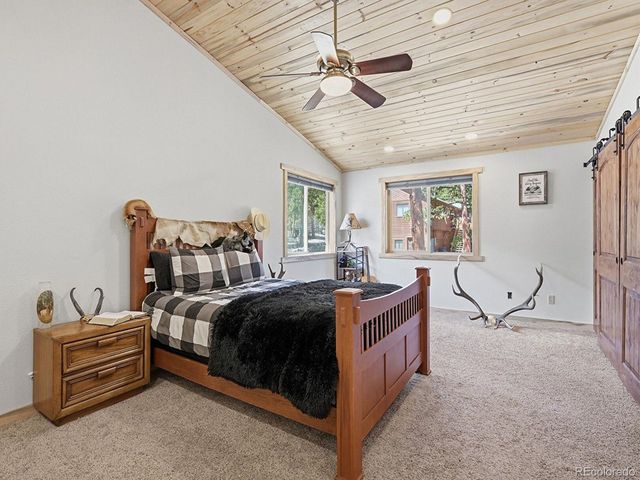 234 Impala Trl, Bailey, CO 80421