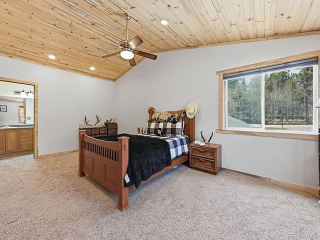 234 Impala Trl, Bailey, CO 80421