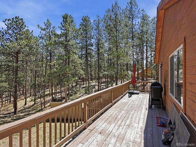 234 Impala Trl, Bailey, CO 80421