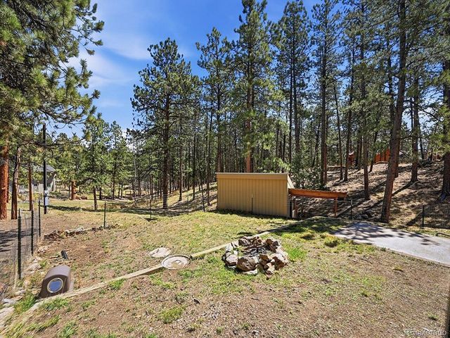 234 Impala Trl, Bailey, CO 80421