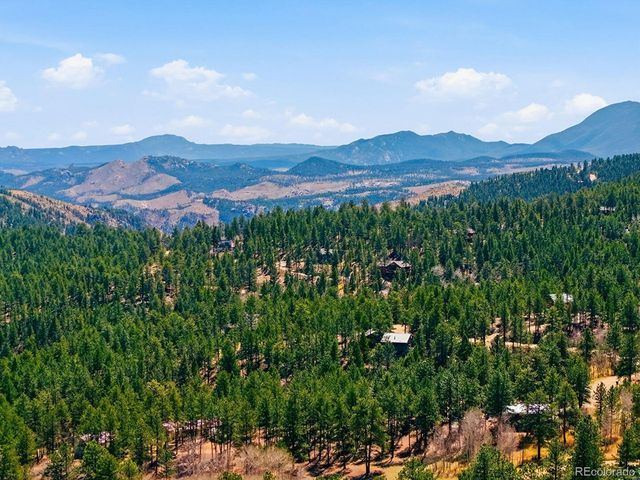 234 Impala Trl, Bailey, CO 80421