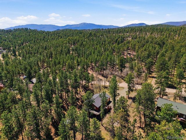 234 Impala Trl, Bailey, CO 80421