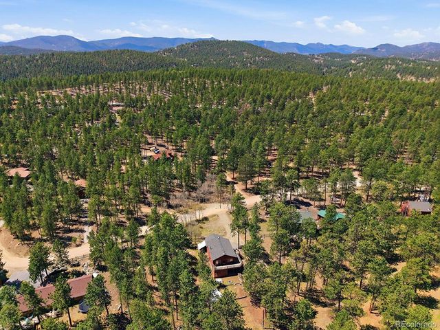 234 Impala Trl, Bailey, CO 80421