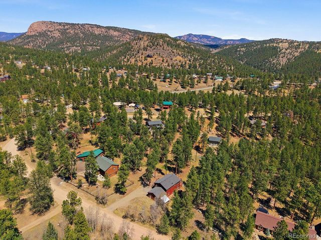 234 Impala Trl, Bailey, CO 80421