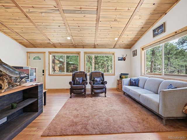 234 Impala Trl, Bailey, CO 80421