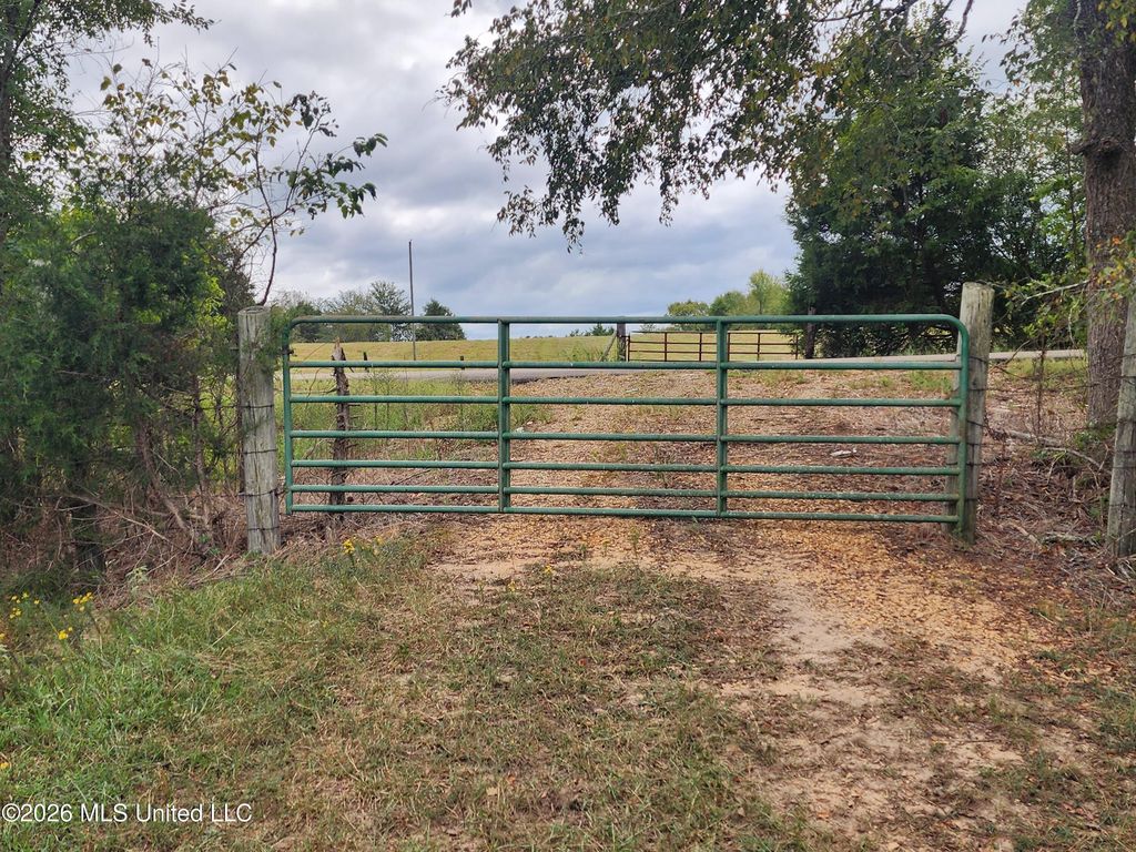 11.26 Bub Jamison Road, Coldwater, MS 38618 — photo 4