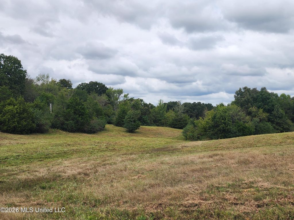 11.26 Bub Jamison Road, Coldwater, MS 38618 — photo 5