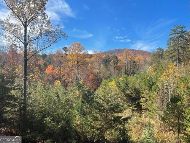 160 Wood Poppy View, Big Canoe, GA 30143