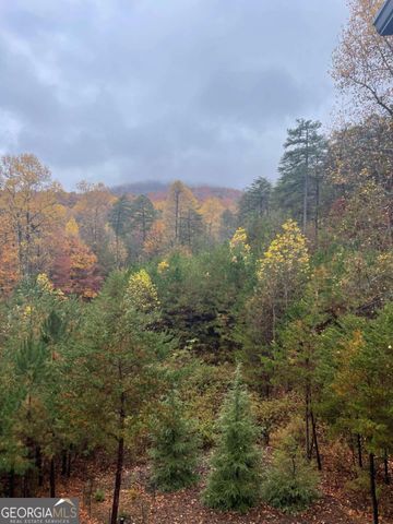 160 Wood Poppy View, Big Canoe, GA 30143