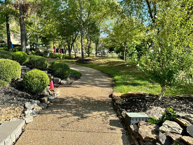 195 Meadow Brook Lane 3-3, Branson, MO 65616