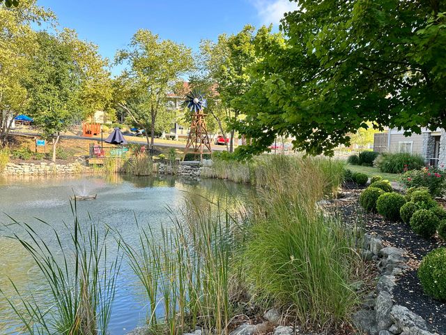 195 Meadow Brook Lane 3-3, Branson, MO 65616