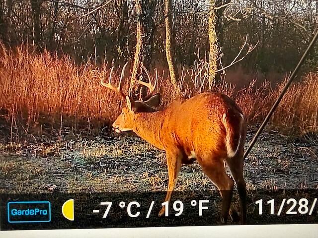 21 James Street, Williamstown, KY 41097